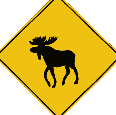 Moose