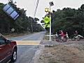 Video of road crossing